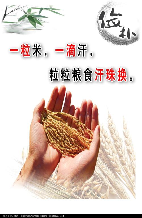 福岡教育大学Computer Science Diploma